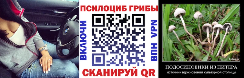 закладка  Нижний Ломов  Галлюциногенные грибы GOLDEN TEACHER 